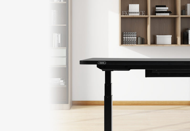 Boulies MagVida Standing Desk