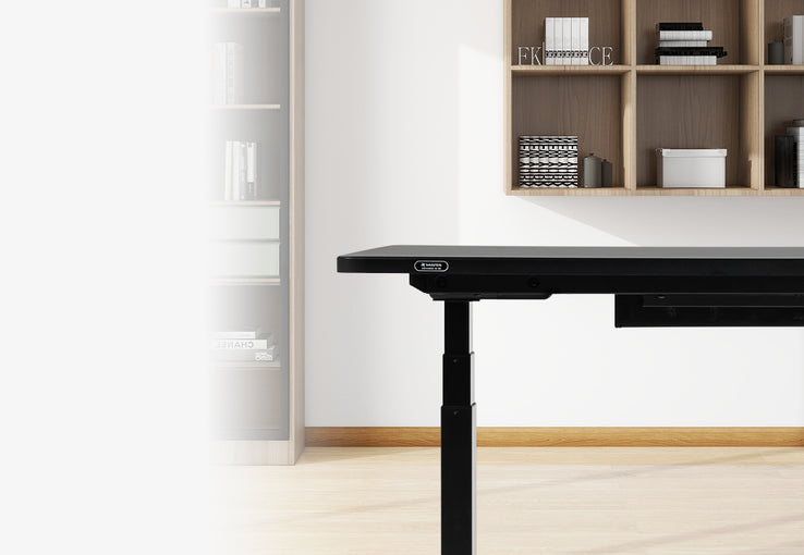 Boulies MagVida Standing Desk